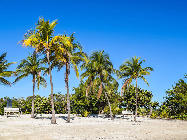 The best things to do in Miami for locals and tourists