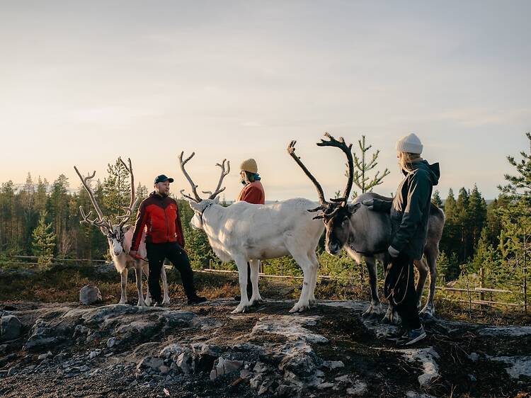 You could win an all-expenses-paid foodie trip to Finland this summer – here’s how to apply