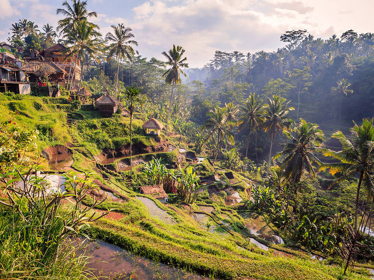 Bali