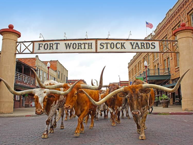 Fort Worth is more than just Dallas’ neighbour