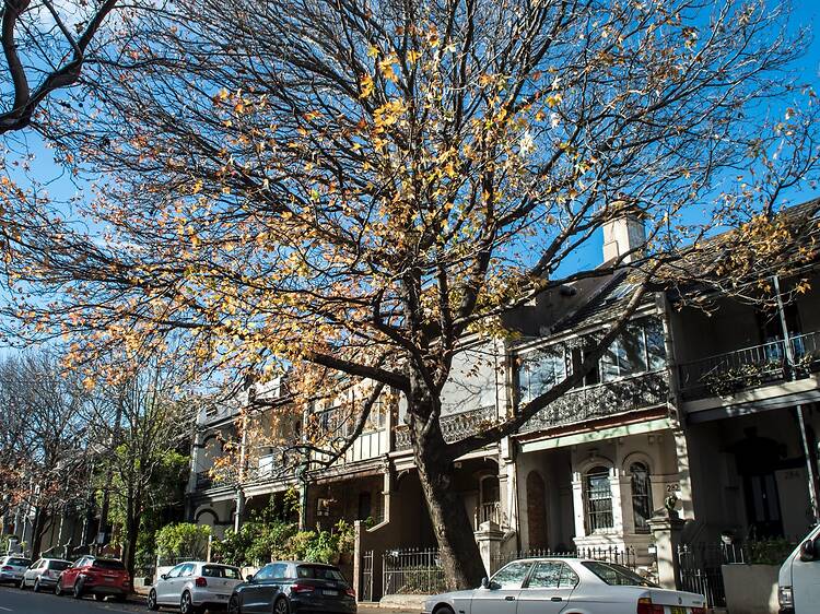 New data reveals Sydneysiders tend to pay more than $110k above advertised property prices