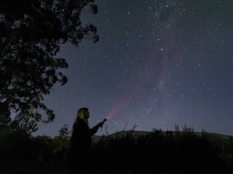 Healesville Sanctuary has launched a new First Nations stargazing experience
