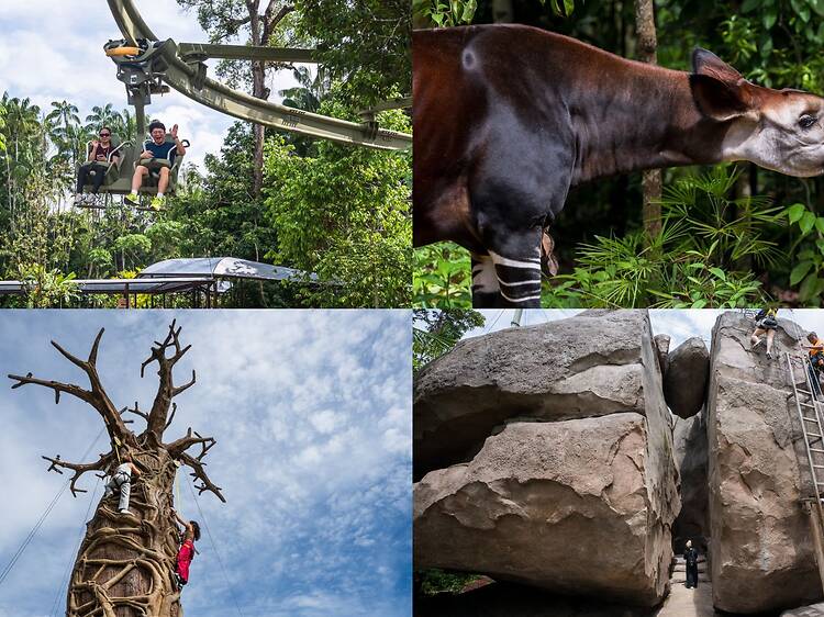 We got a first look at Rainforest Wild Adventure’s newest wing – here’s what stood out