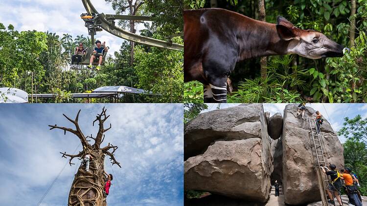 We got a first look at Rainforest Wild Adventure’s newest wing – here’s what stood out